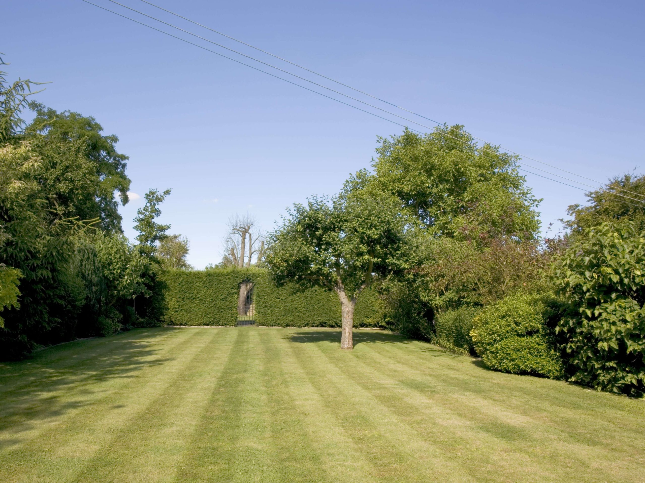 Lawn Mowing/Hedge Trimming Forest Hill SE23