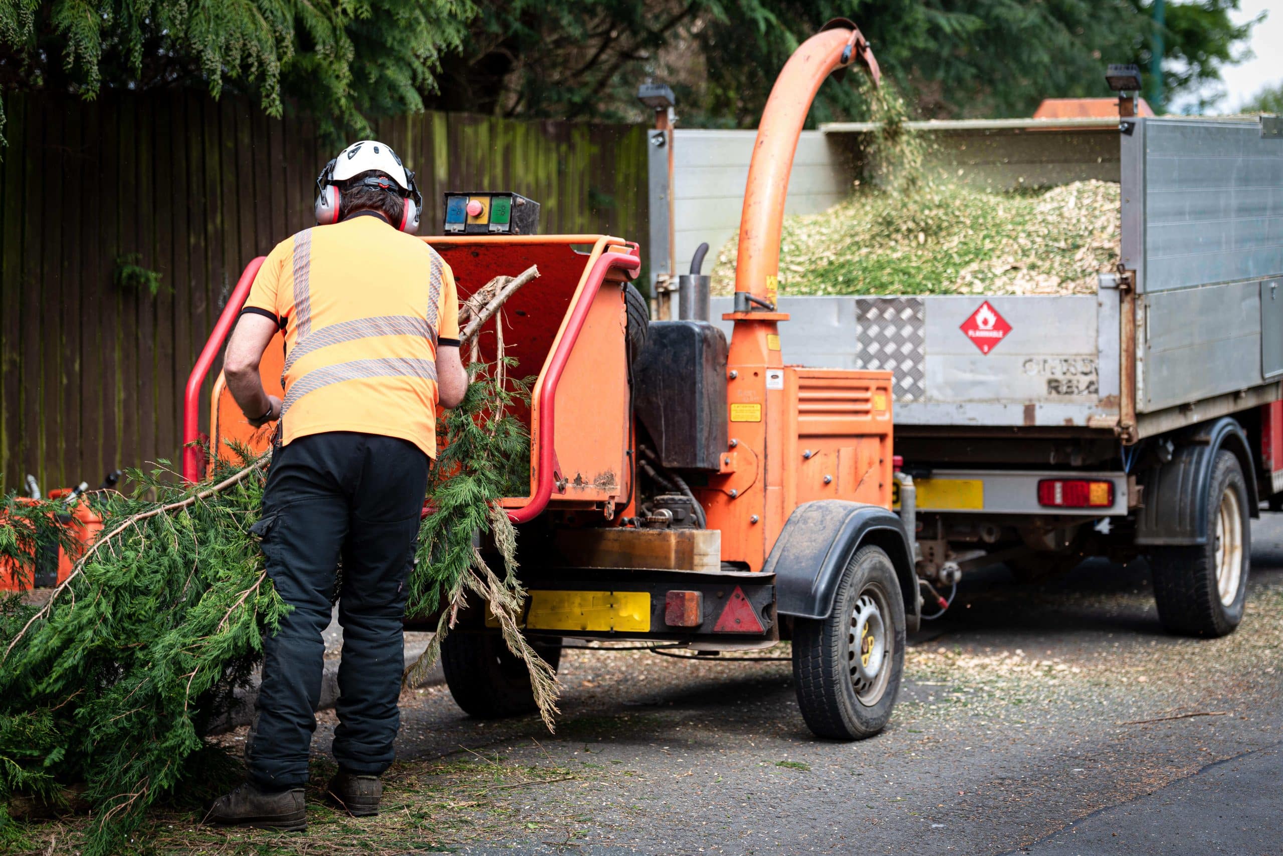Tree Stump Grinding/Removal Forest Hill SE23
